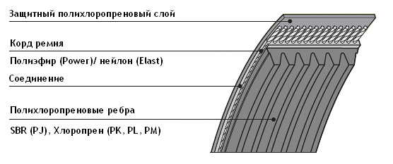 ремень в разрезе